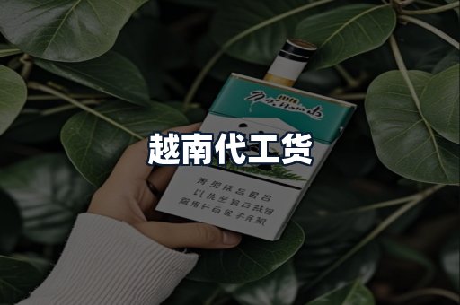 越南代工货